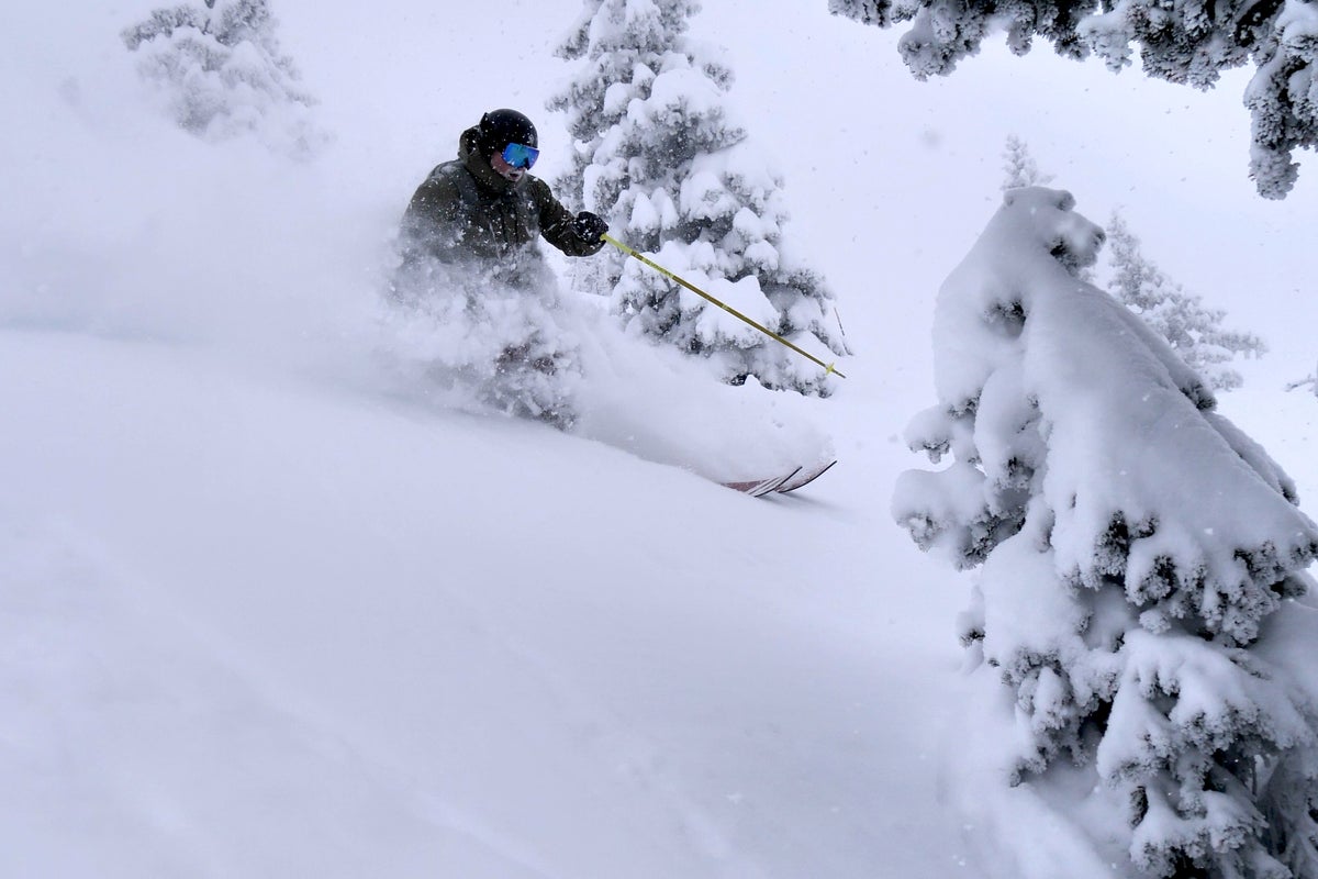 Skiing through trees on fresh snow at Bridger Bowl Ski Resort