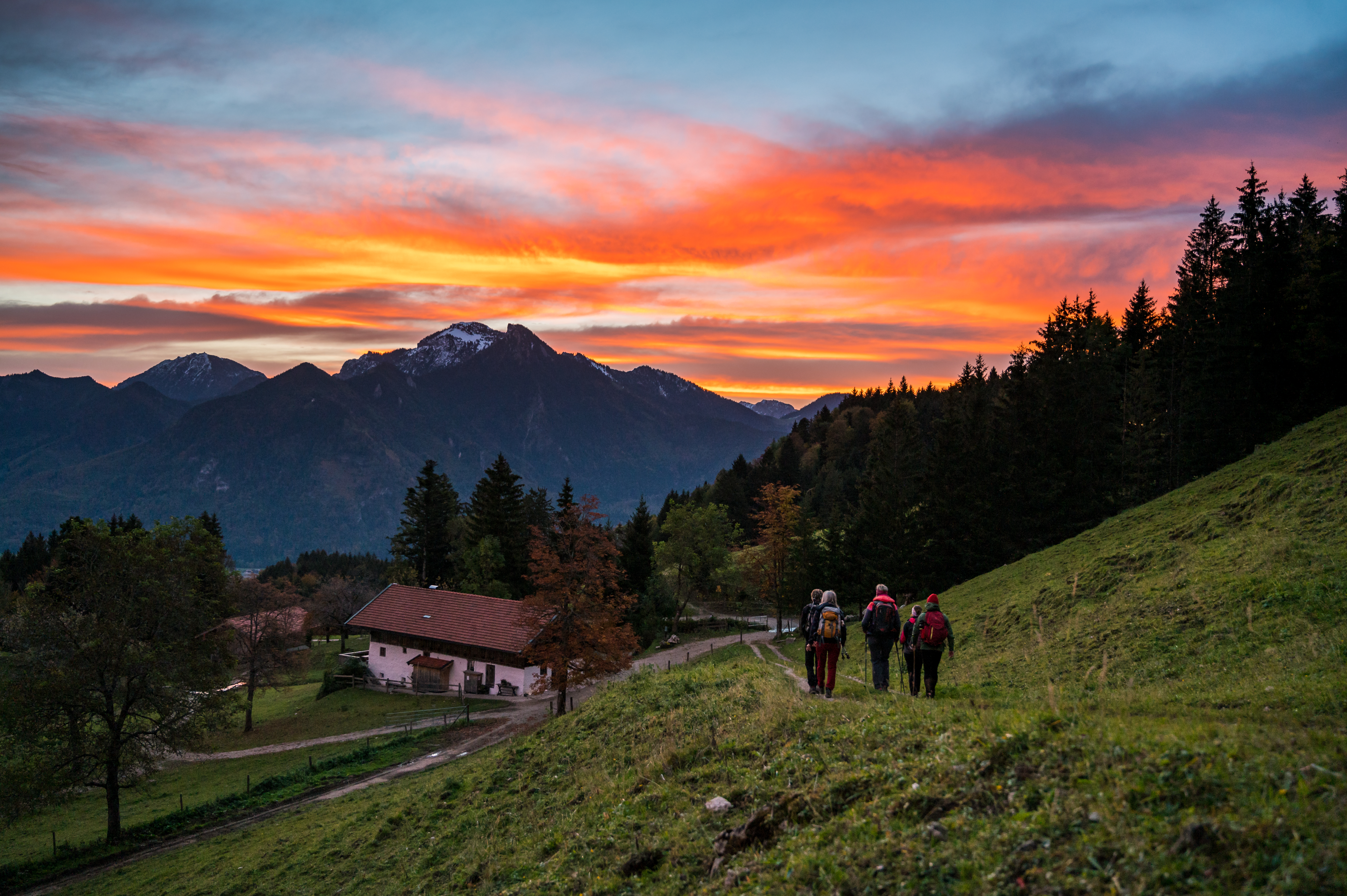 Wenn die Wälder in sattem Gold und Kupferrot leuchten und der Duft frischer Äpfel in der Luft liegt, beginnt im Chiemgau eine ganz besondere Jahreszeit. Der Herbst bringt nicht nur Ruhe in die Natur – er sorgt auch bei uns für Entschleunigung.  Jetzt ist der perfekte Moment, die Region bewusst zu erleben: beim Wandern auf
