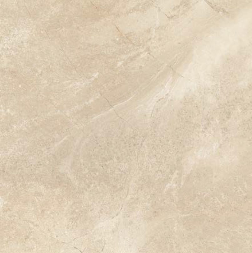 True - T-267223-TRU-LTBG-FT-12X24-R