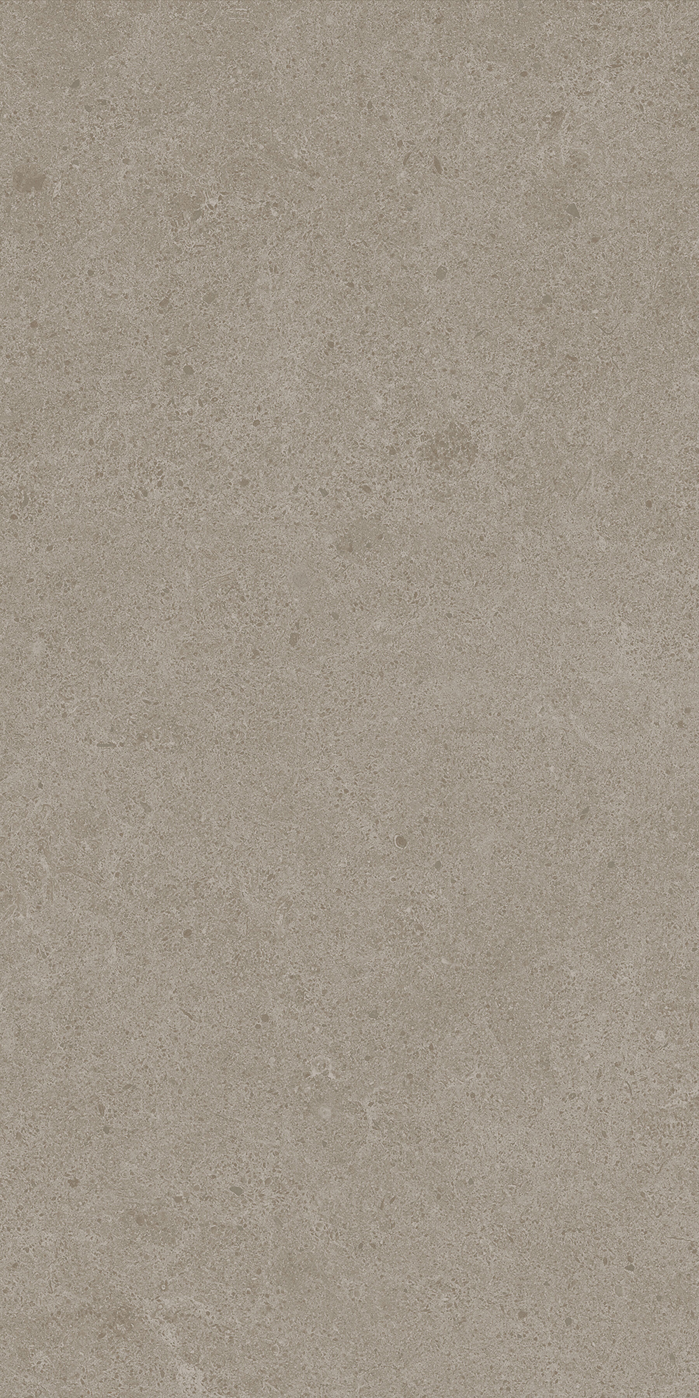 Argent 2.0 - T-2922-ARG2-ARG34-FT-6X24-UPS