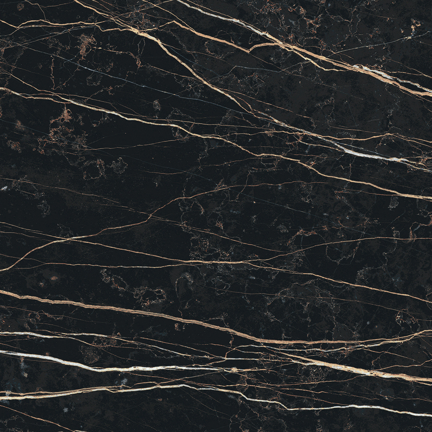 Prexious De Rex - T-3806-PREX-THNT-FT-24X24-M