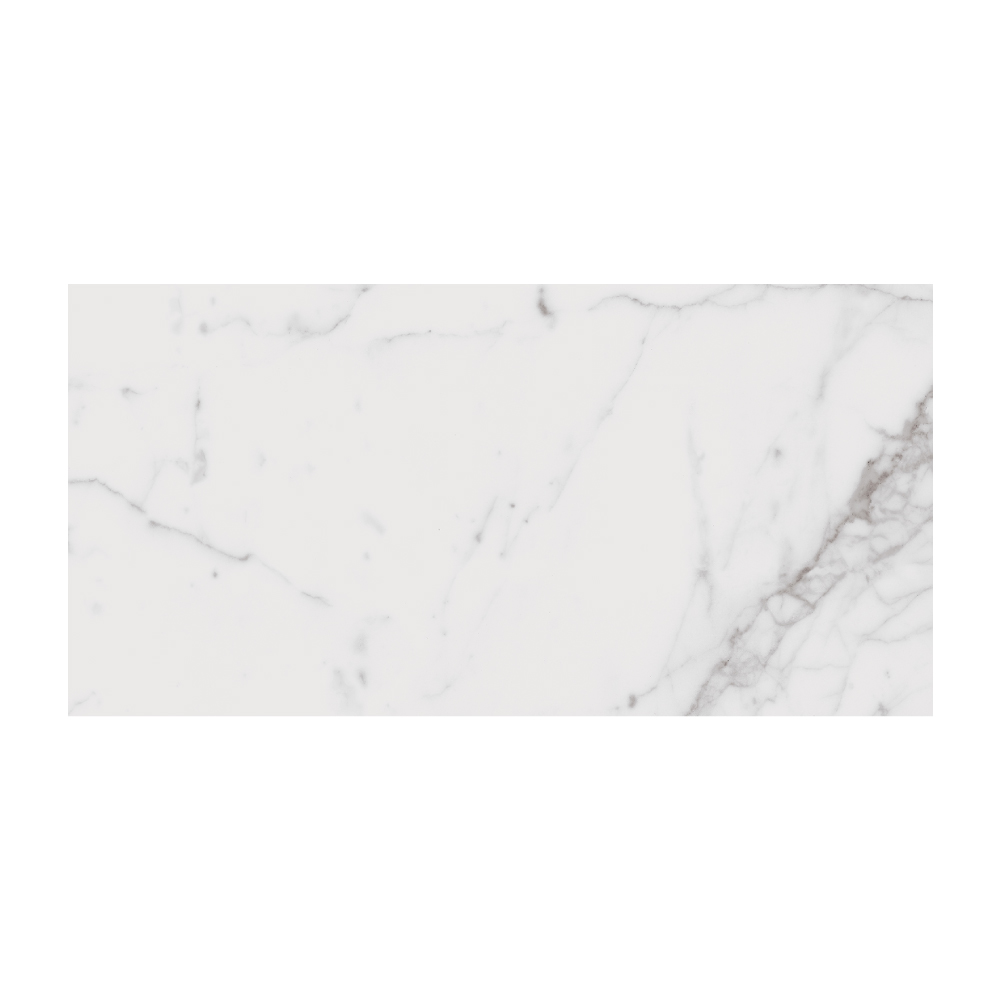 T-267223-LXEN-STAT-FT-12X24-LUX-01