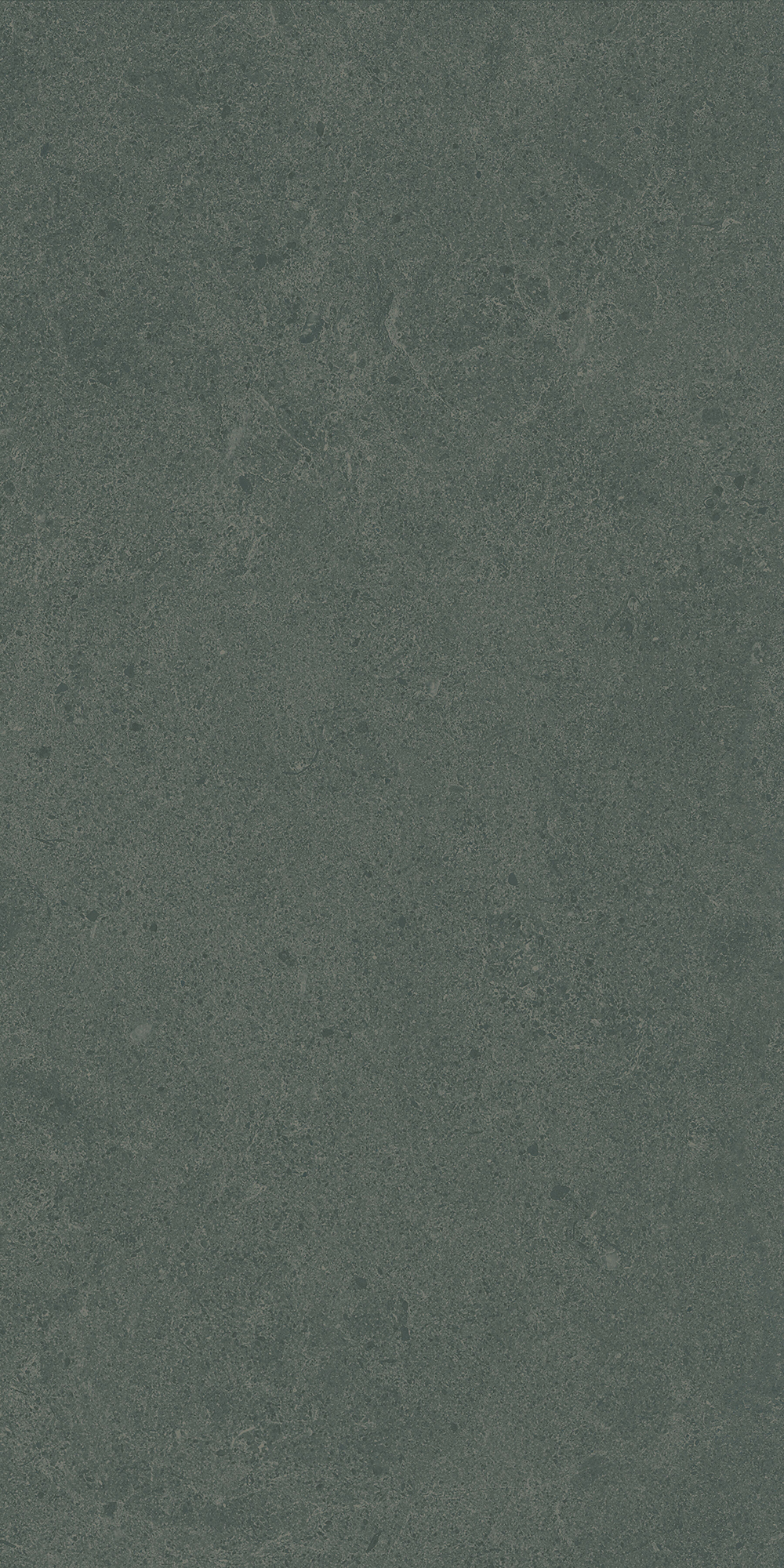 Argent 2.0 - T-2922-ARG2-ARG38-FT-6X24-UPS