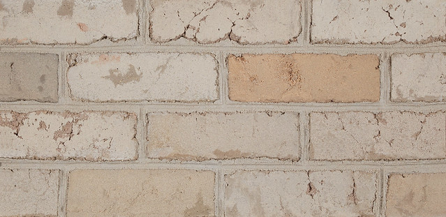 Product image for POLAR BLEND