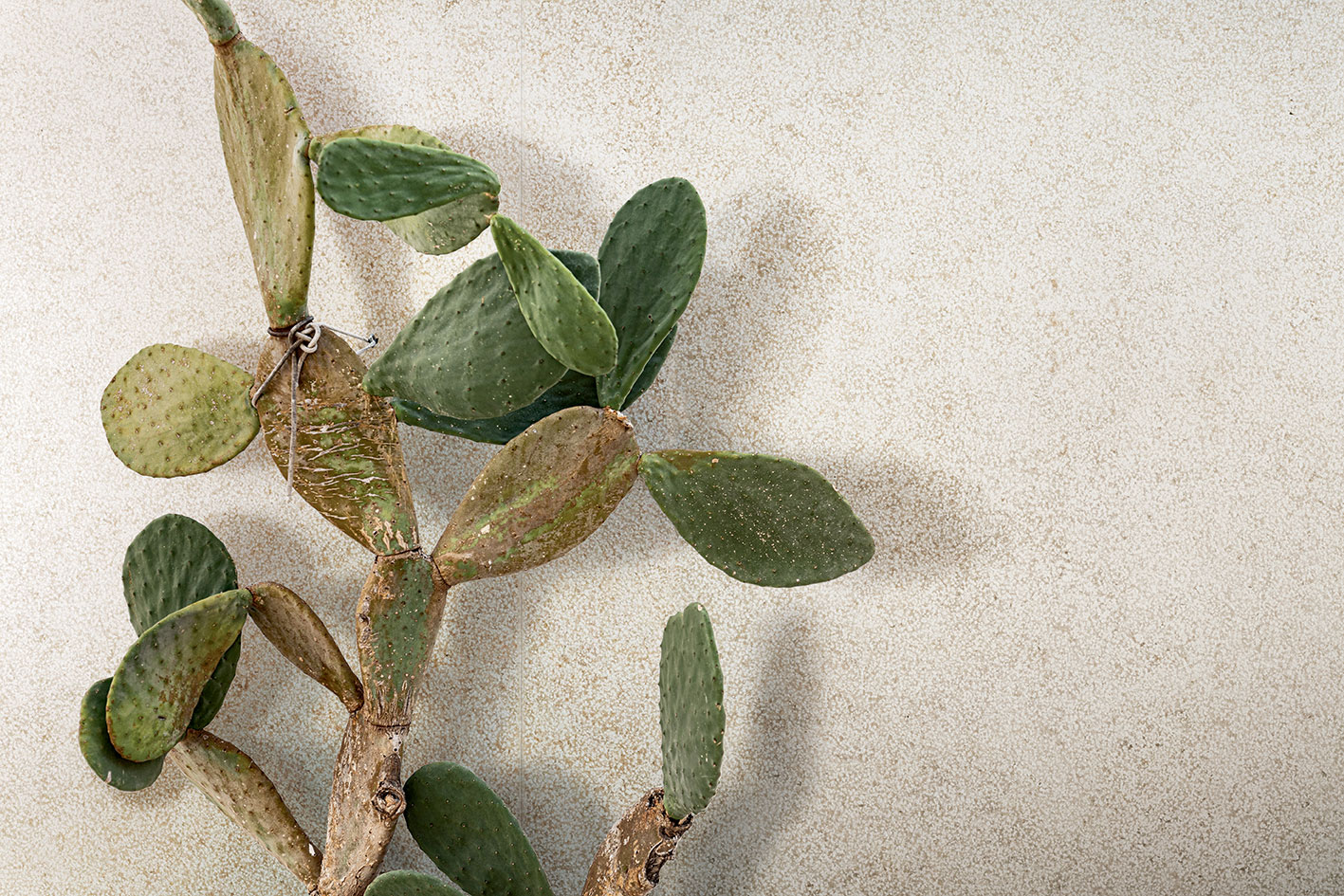 Product image for Grezza