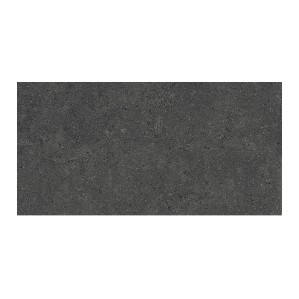 T-196252-MDST-CHAR-FT-12X24-GRR