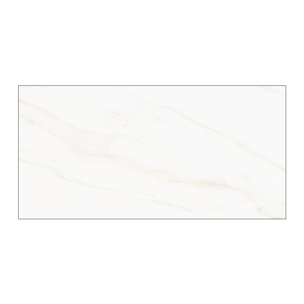 Westchester - T-VS-WSCH-ALPE-FT-12X24-POL