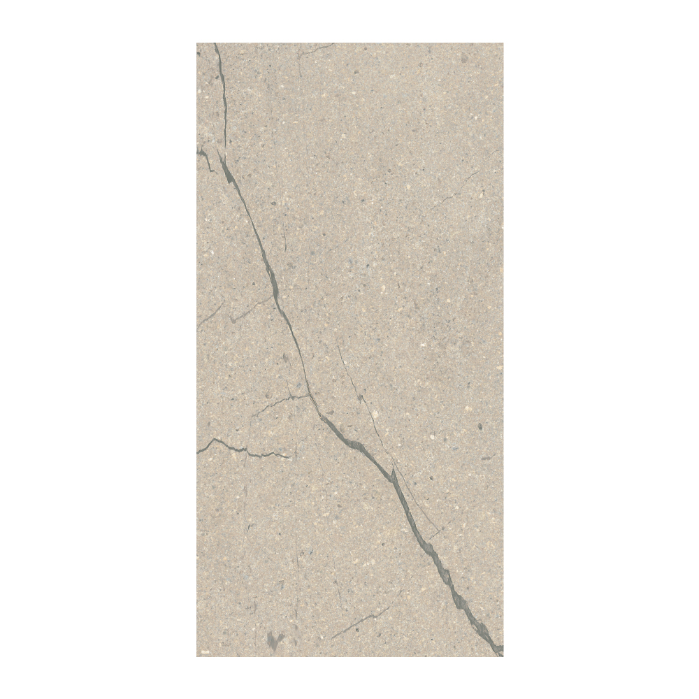 Sociale - T-2922-SCLE-SCL01-FT-12X24-EXT