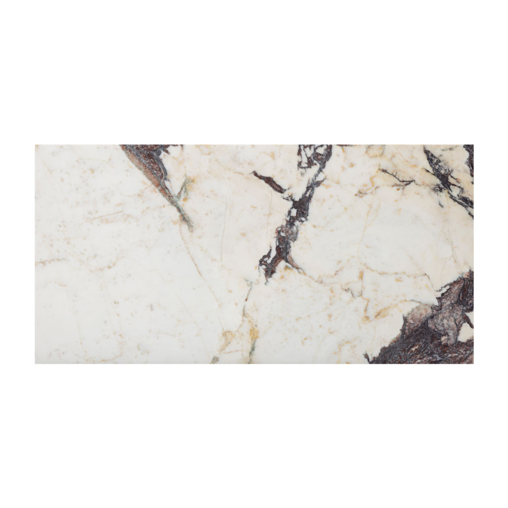 T-279219-WHM-CVIO-FT-12X24XTE-HNDAE-07