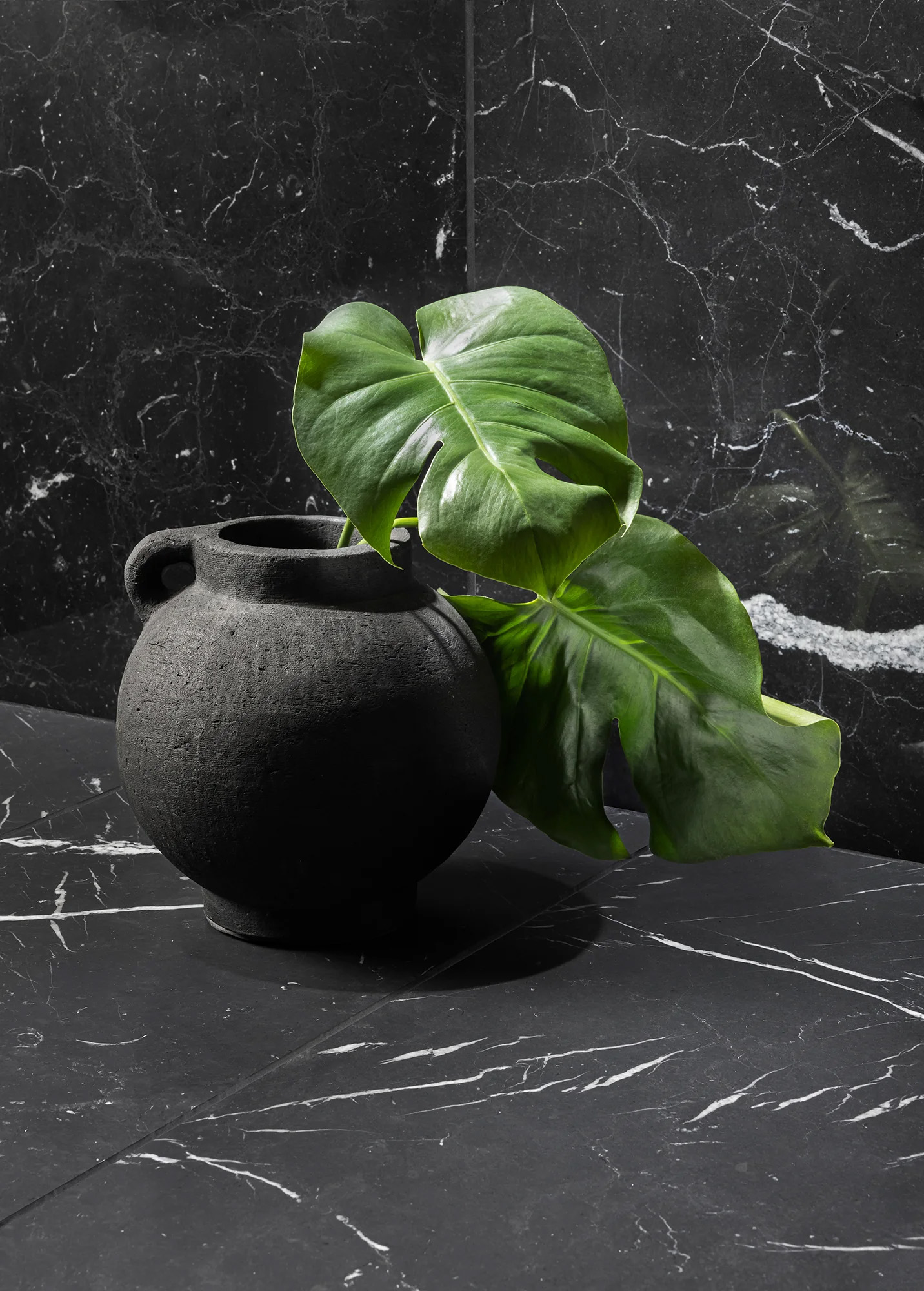 Product image for Noir Moon