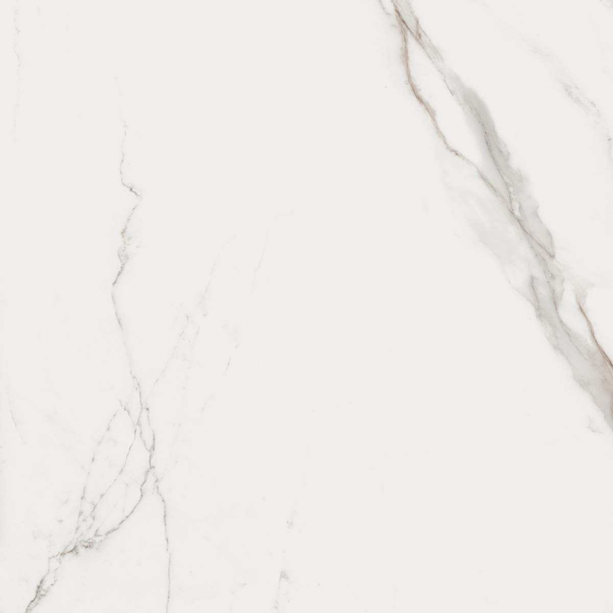 Bianco - T-2696-BIA-CALBO-FT-36X36-LAPR