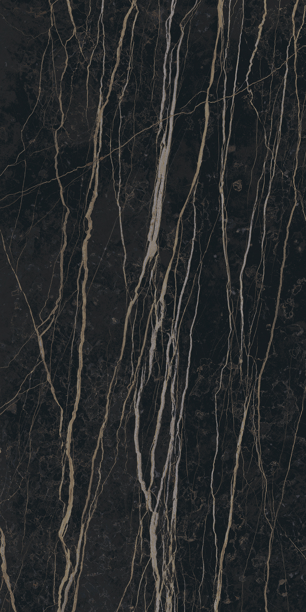 Prexious De Rex - T-3806-PREX-THNT-FT-24X48-GLS10MM