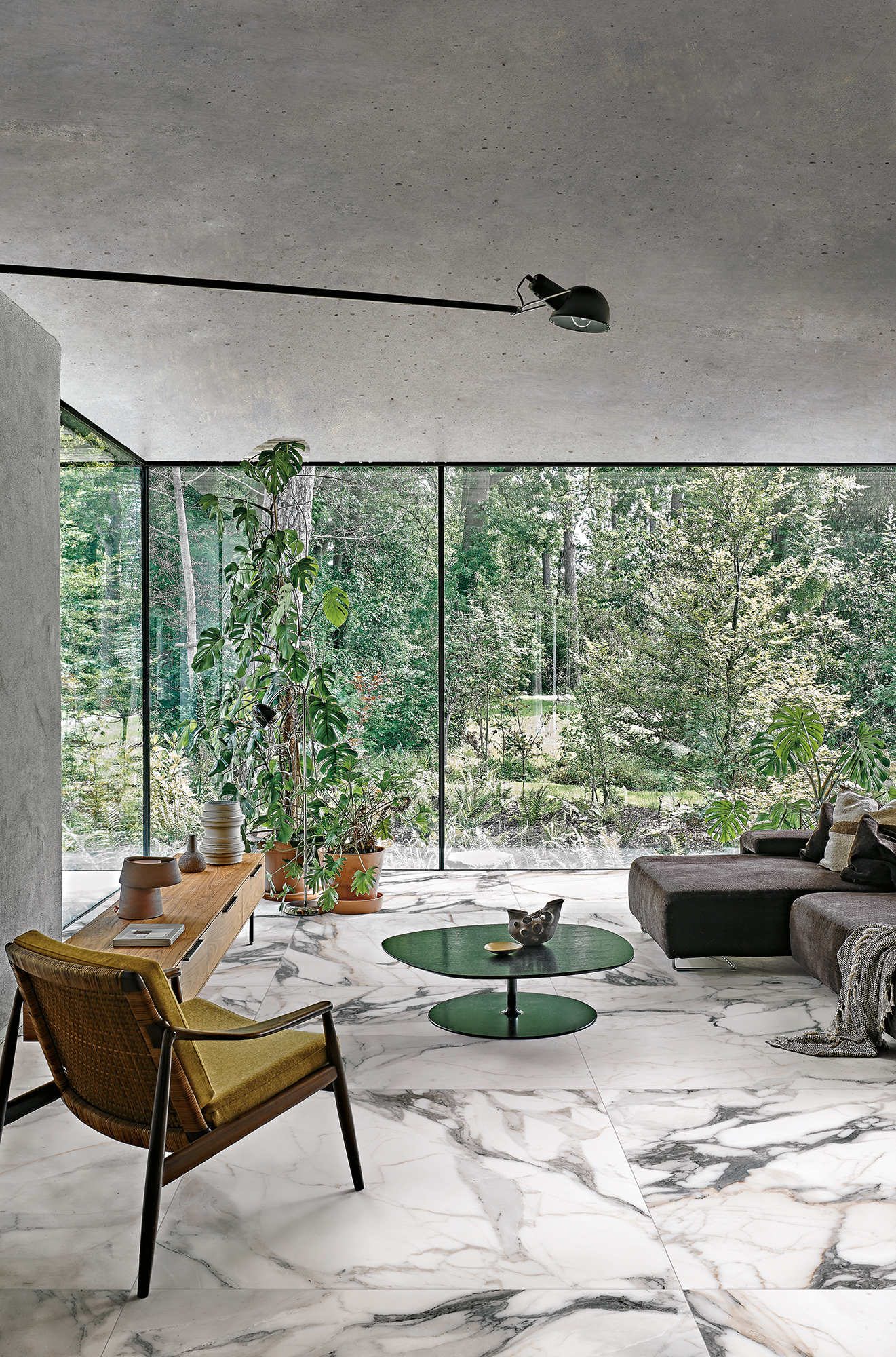 Product image for Origines De Rex