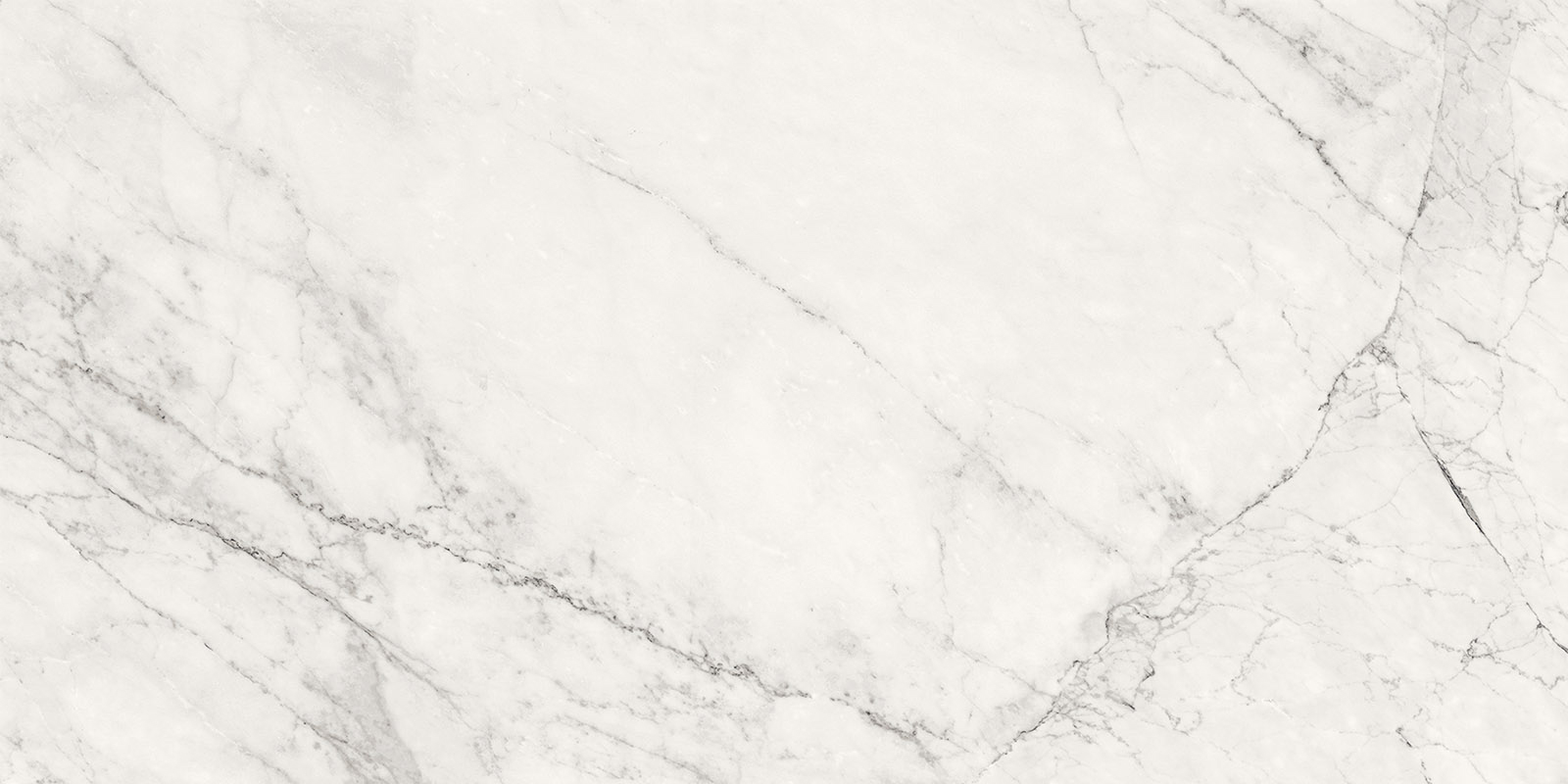 Aesthetica - T-2696-AEST-CALXW-FT-24X48-M