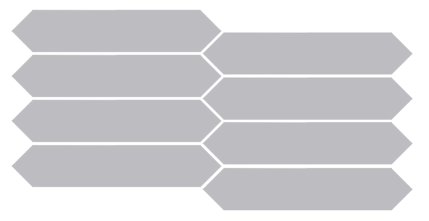 Block - T-5807-BLCK-GRIS-WT-DSARRO-BR