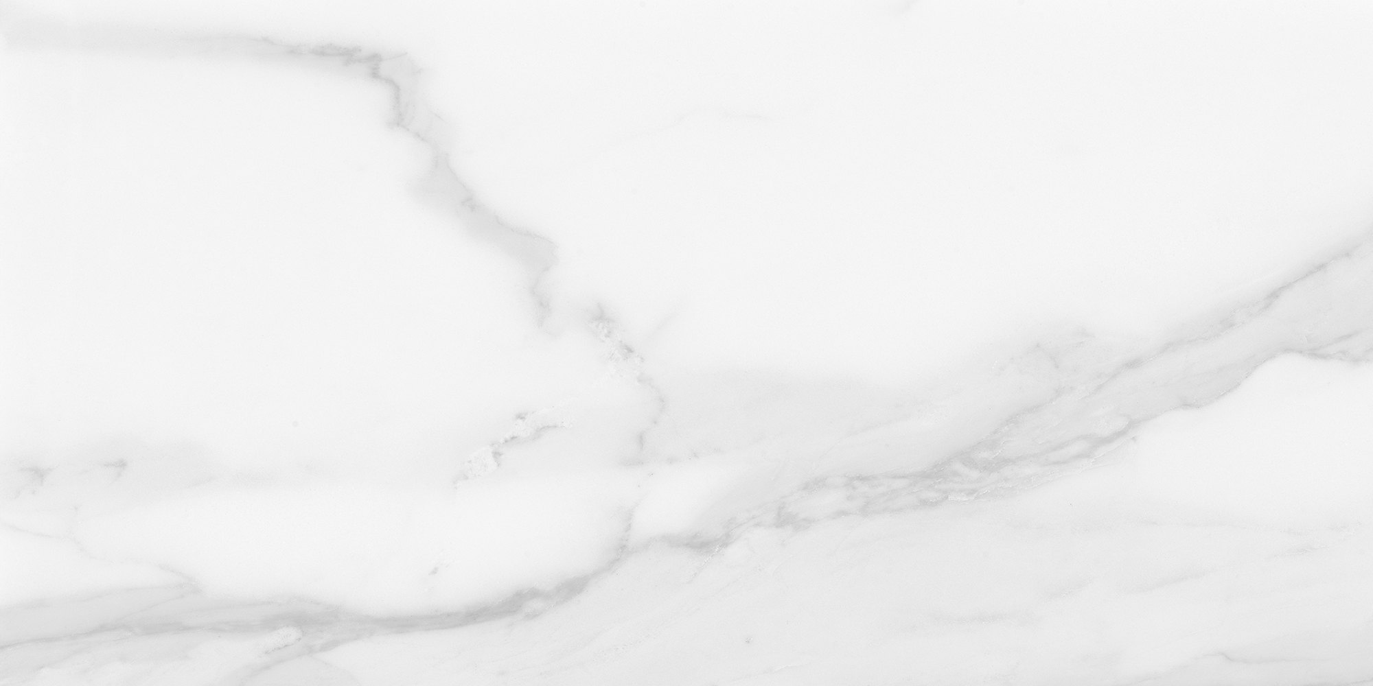 Plata - T-67437-PLTA-STBRNA-FT-12X24-POLR