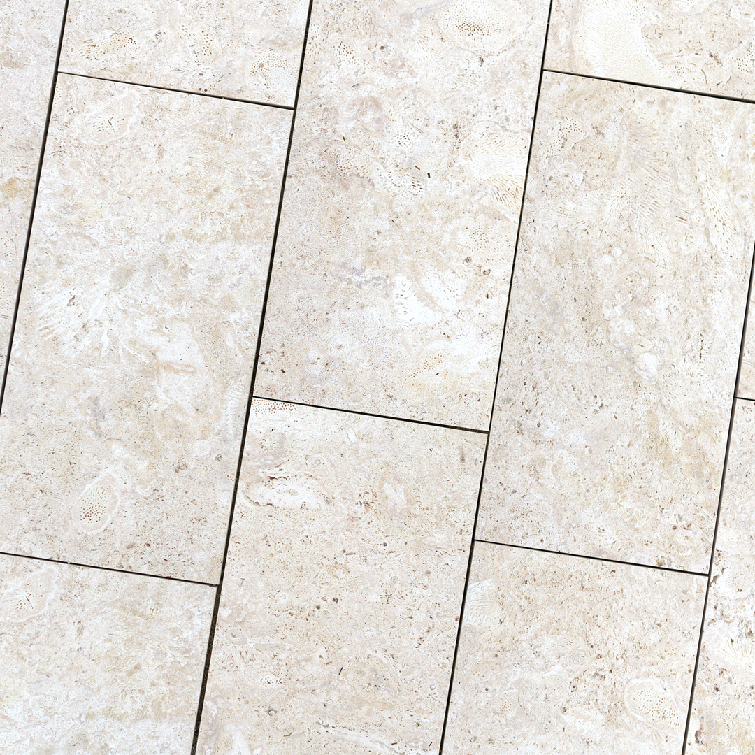 Old World Tabby Coral Select White 24x24 Porcelain Paver