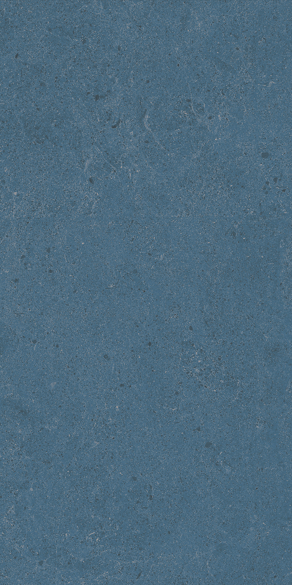 Argent 2.0 - T-2922-ARG2-ARG15-FT-6X24-UPS