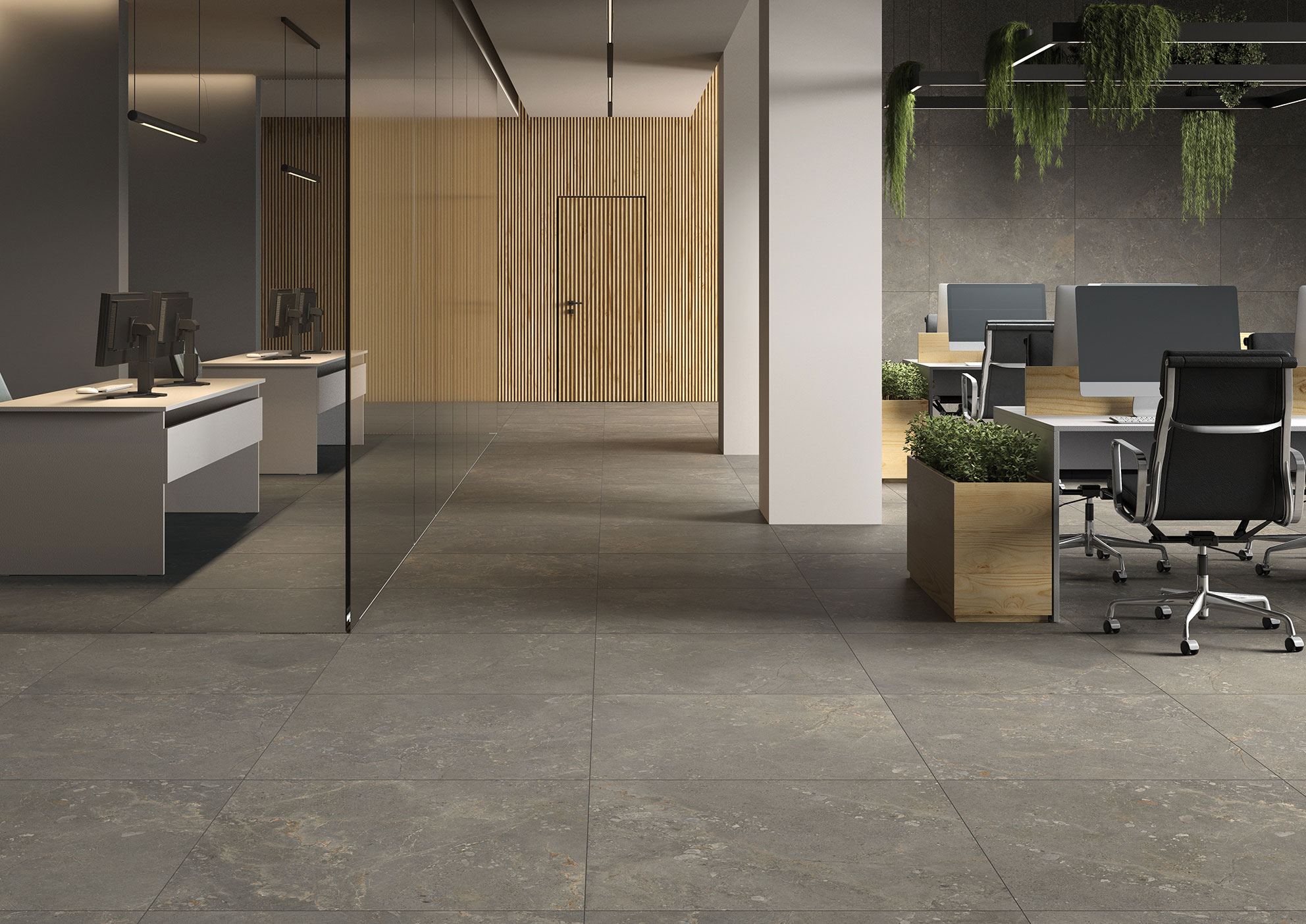 Moondance - T-267223-MNDC-DRKGY-FT-24X48-M