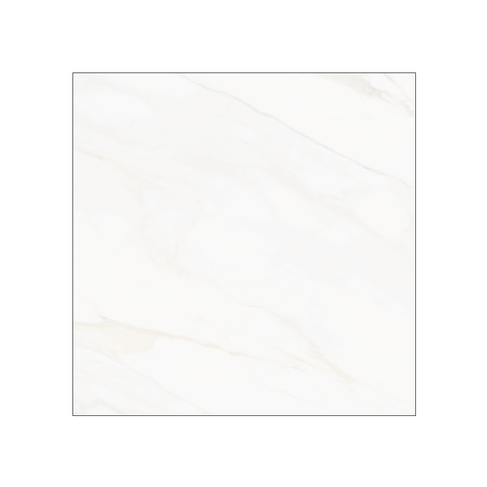 Westchester - T-VS-WSCH-ALPE-FT-24X24-STN