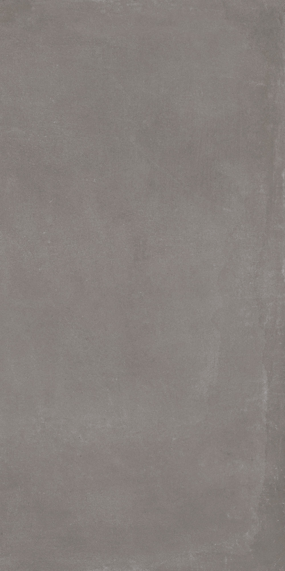 Prima - T-88239-PRM-LD-FT-24X48-SOFT