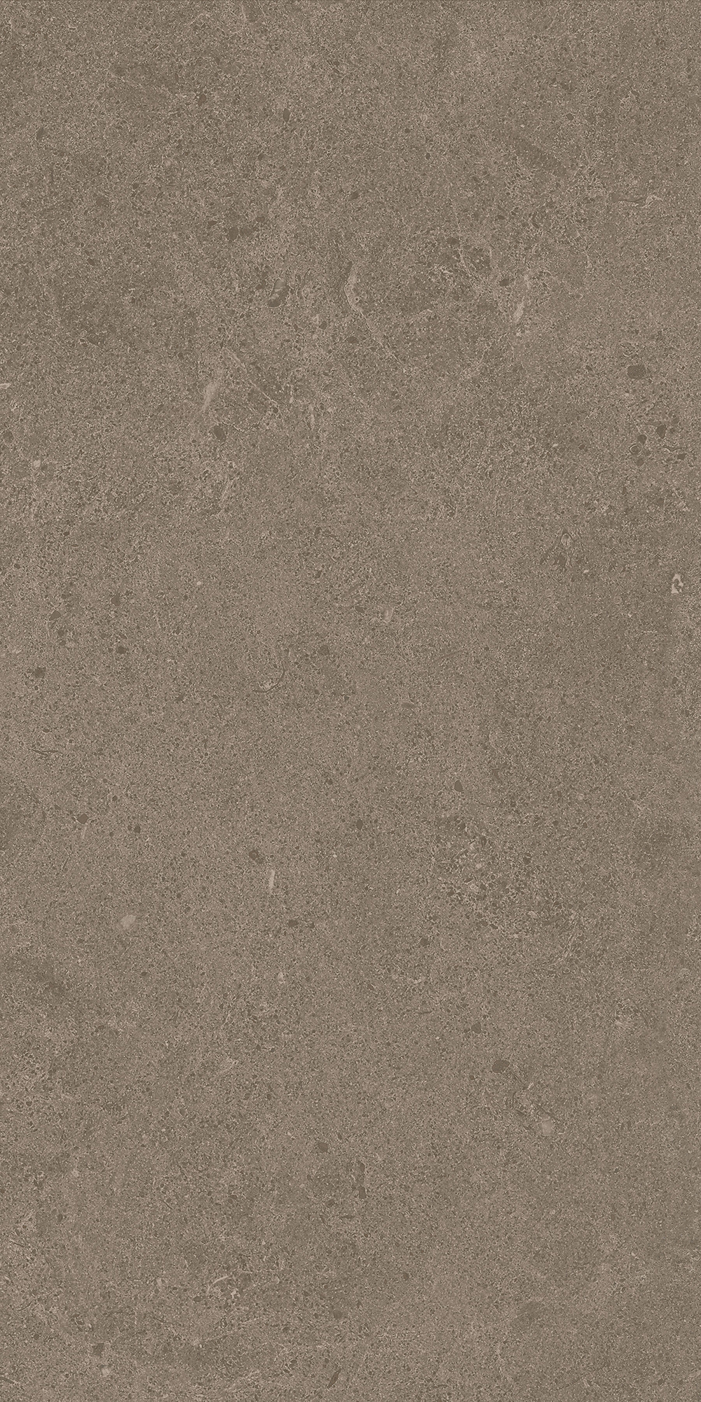 Argent 2.0 - T-2922-ARG2-ARG18-FT-12X24-UPS