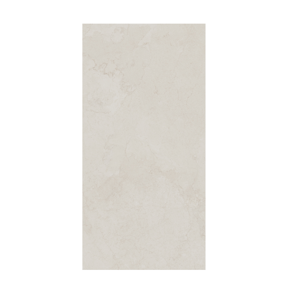 Contemporary - T-267223-CTNP-CHWH-FT-24X48-SOFT