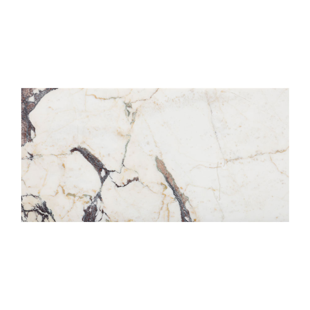 T-279219-WHM-CVIO-FT-12X24XTE-HNDAE-09