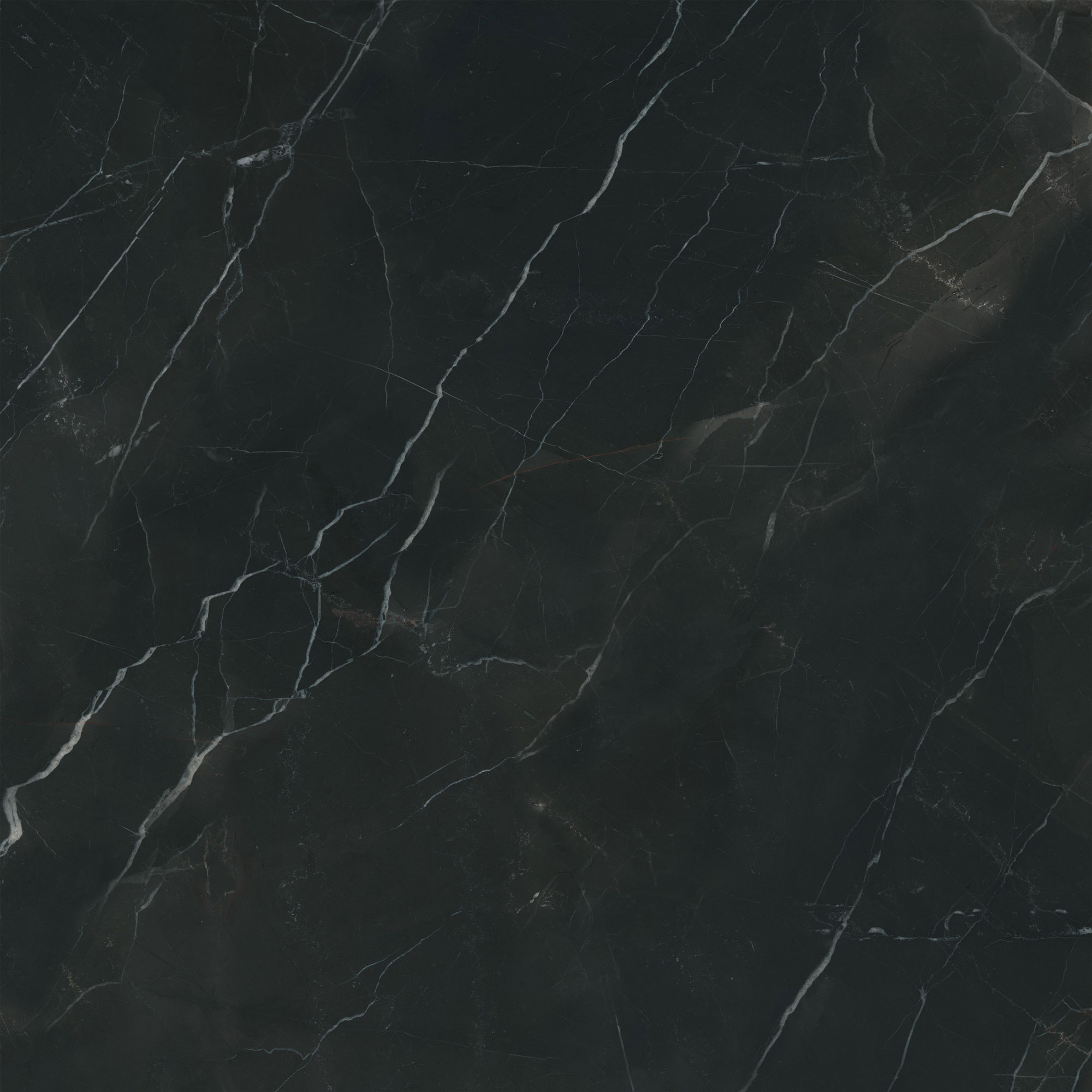 Charme Evo - T-196252-CEV-CALB-FT-24X24-MR