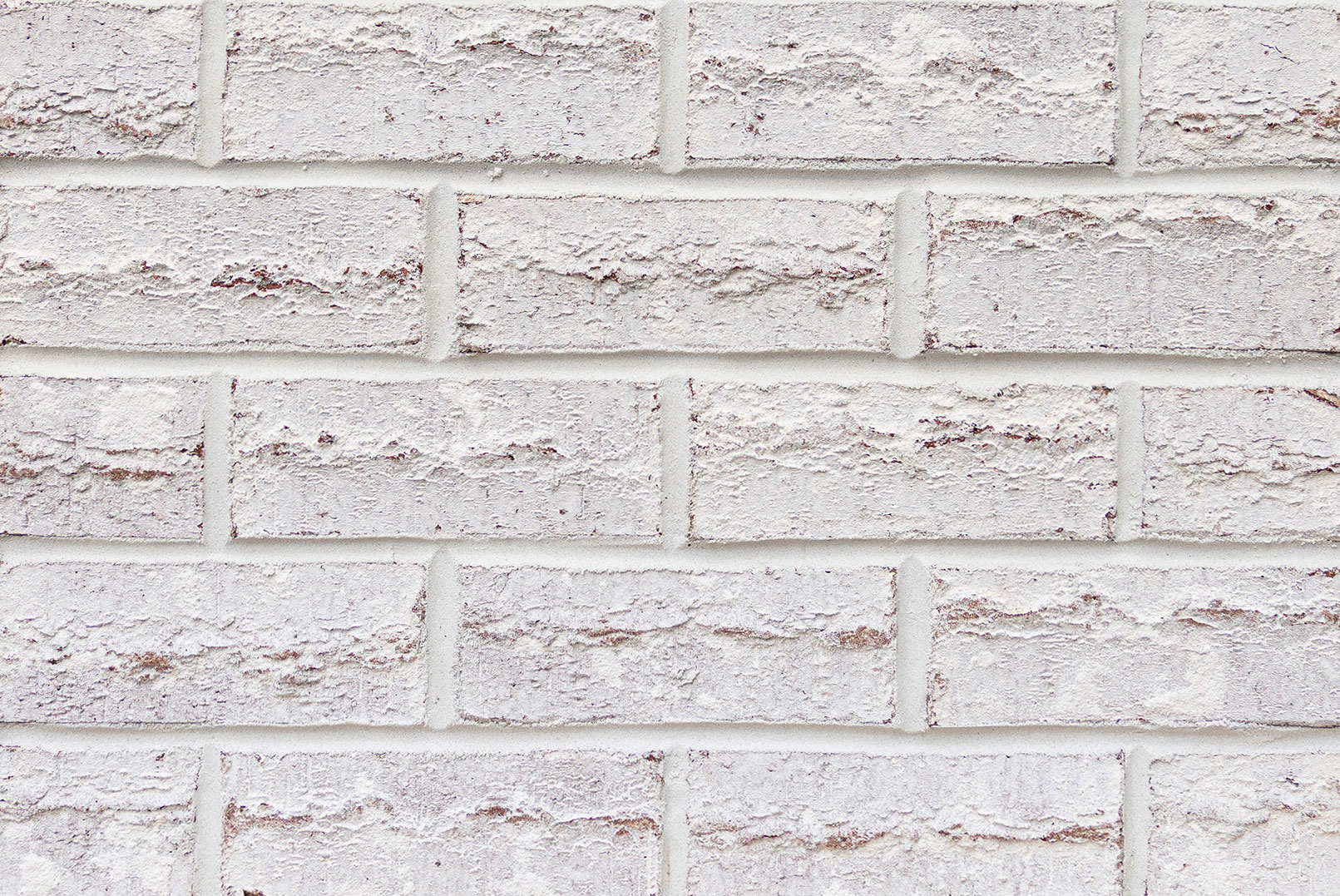 Product image for White Rose Ridge