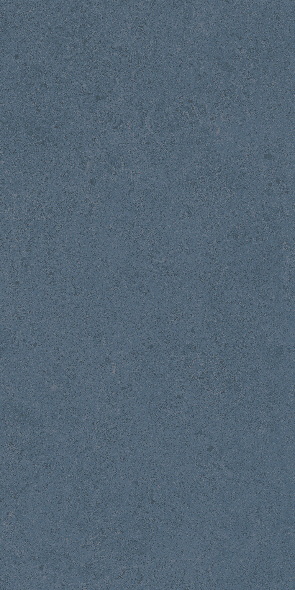 Argent 2.0 - T-2922-ARG2-ARG37-FT-6X24-UPS