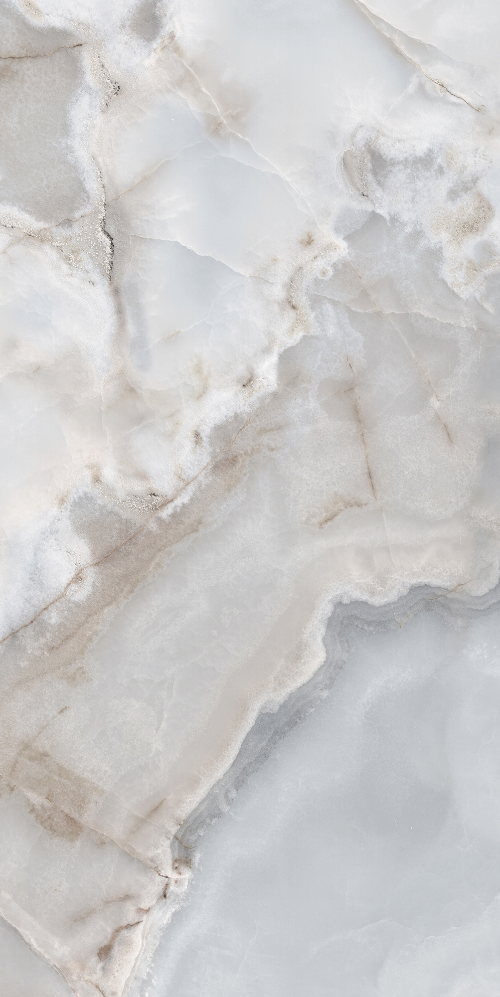 Reves De Rex - T-3806-RDR-BLEU-FT-24X48-M10MM