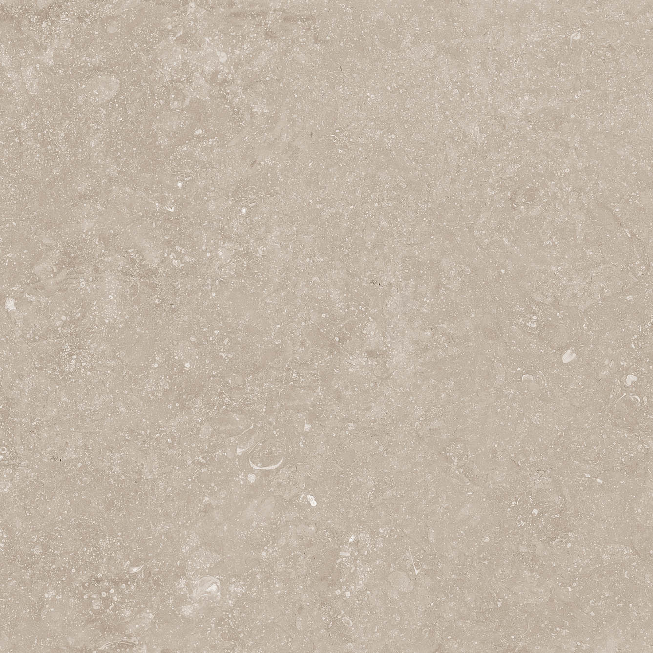 Beljn - T-2922-BJN-BJN01-FT-12X24-UPS