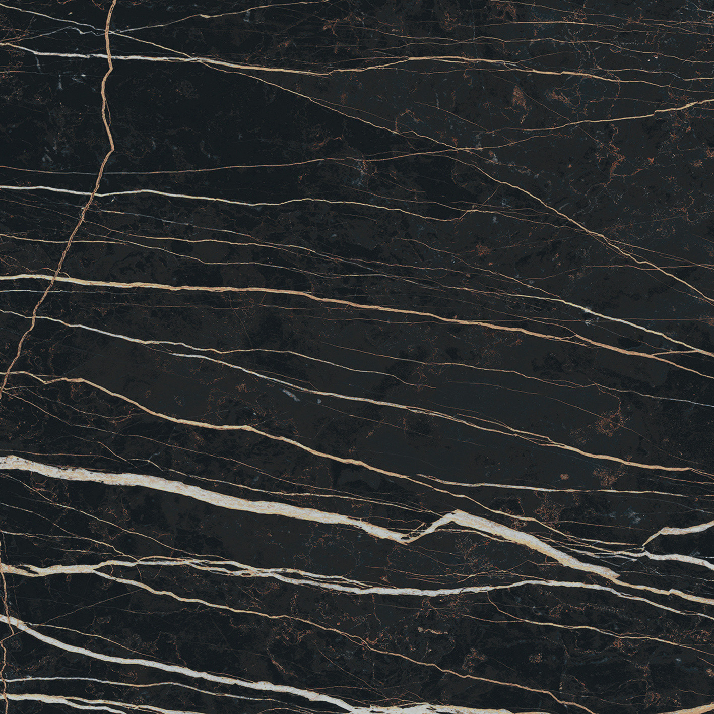 Prexious De Rex - T-3806-PREX-THNT-FT-24X24-GLS