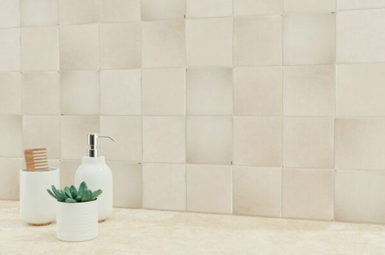 Moroccan Habitat