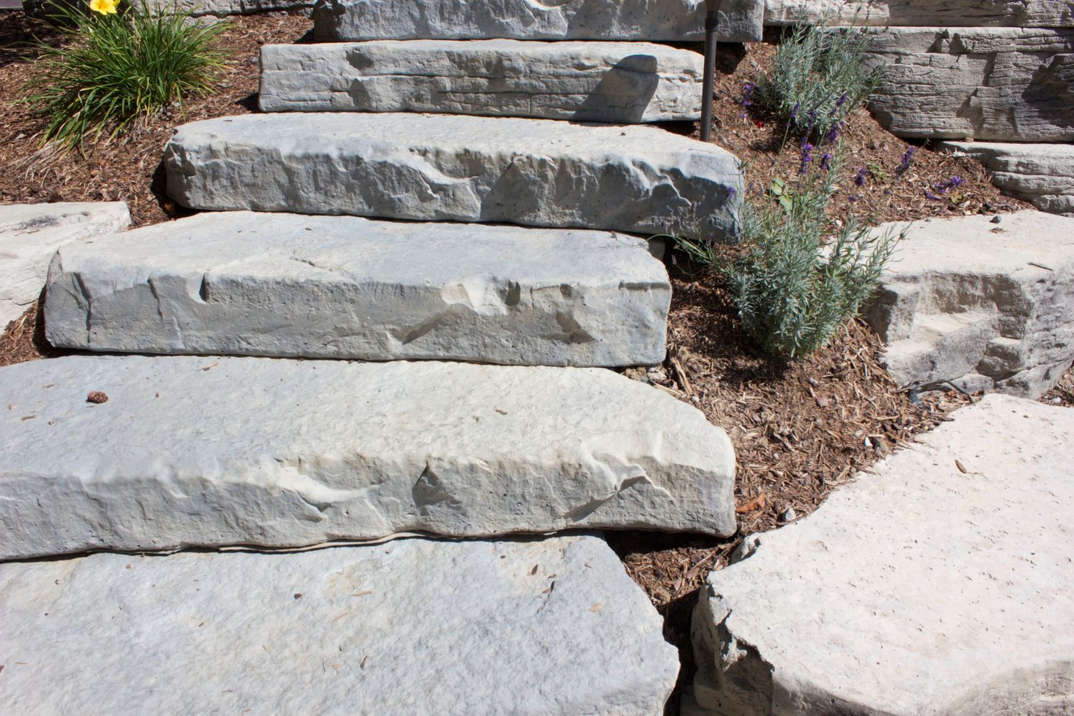 Product image for Irregular Steps