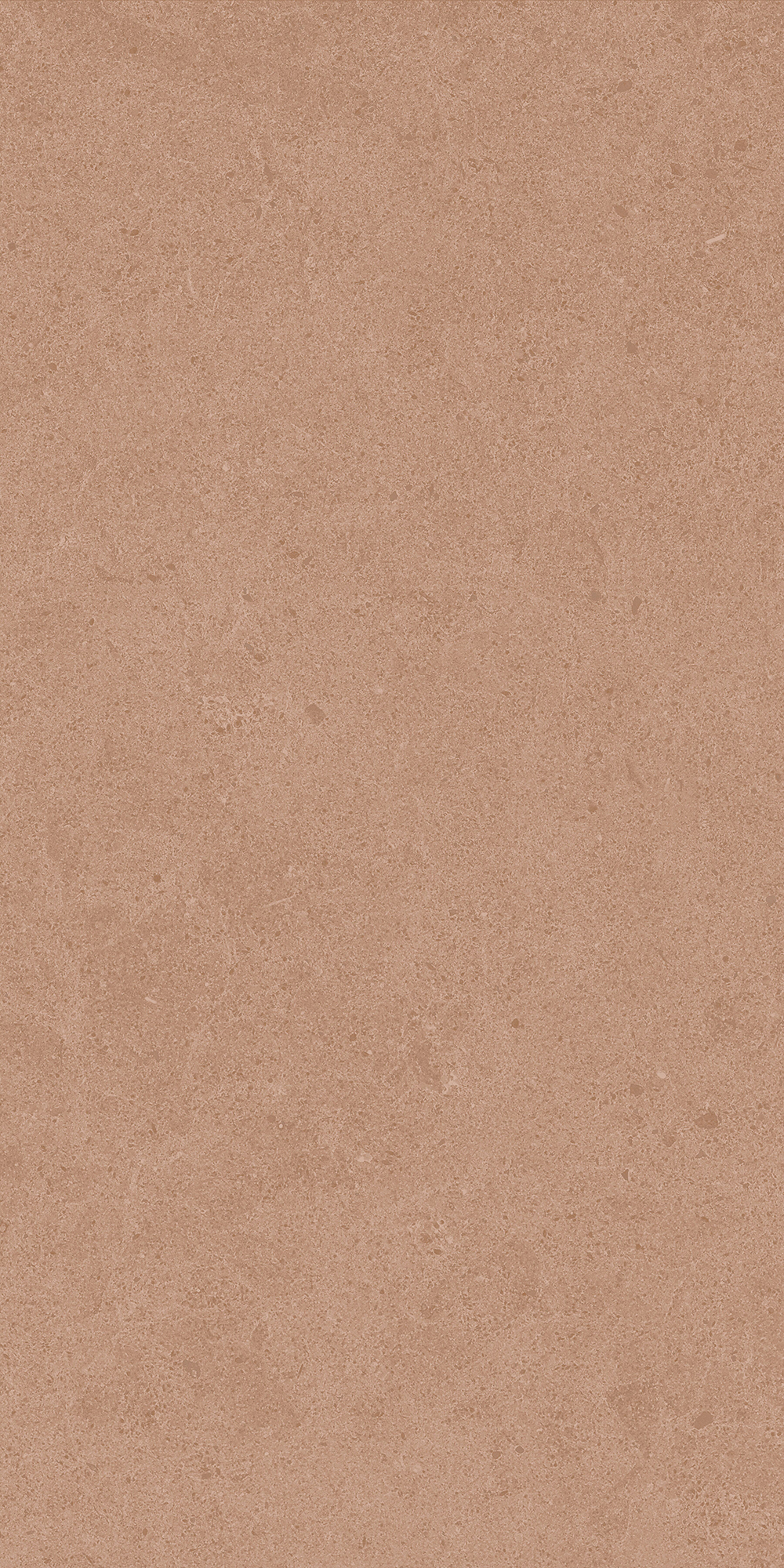 Argent 2.0 - T-2922-ARG2-ARG36-FT-12X24-UPS