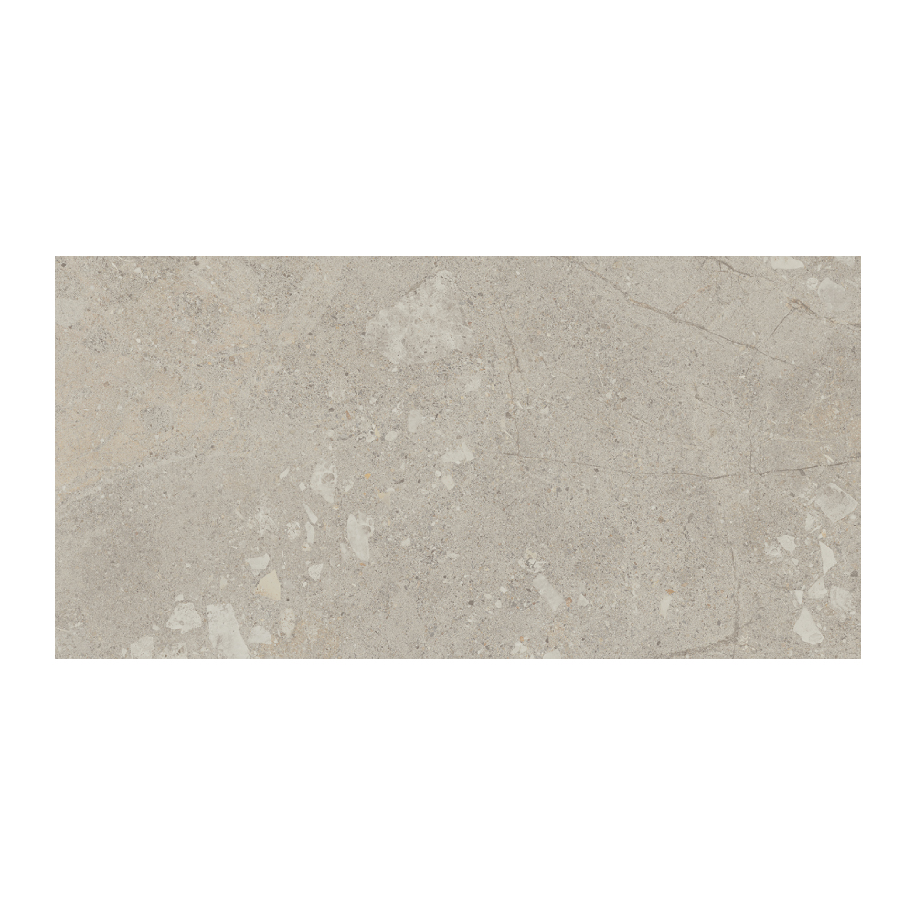 Moondance - T-267223-MNDC-GRY-FT-12X24-M