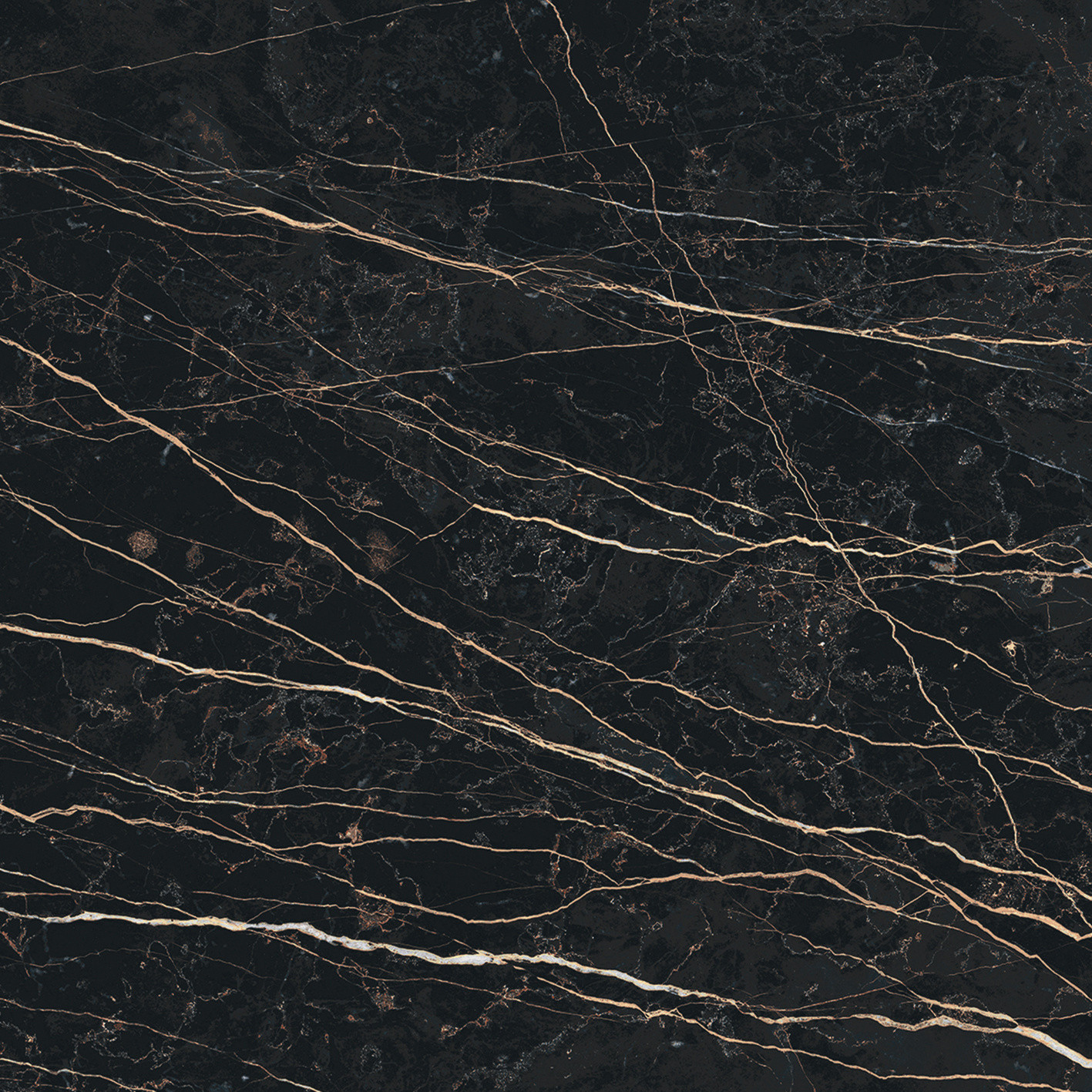 Prexious De Rex - T-3806-PREX-THNT-FT-24X24-GLS