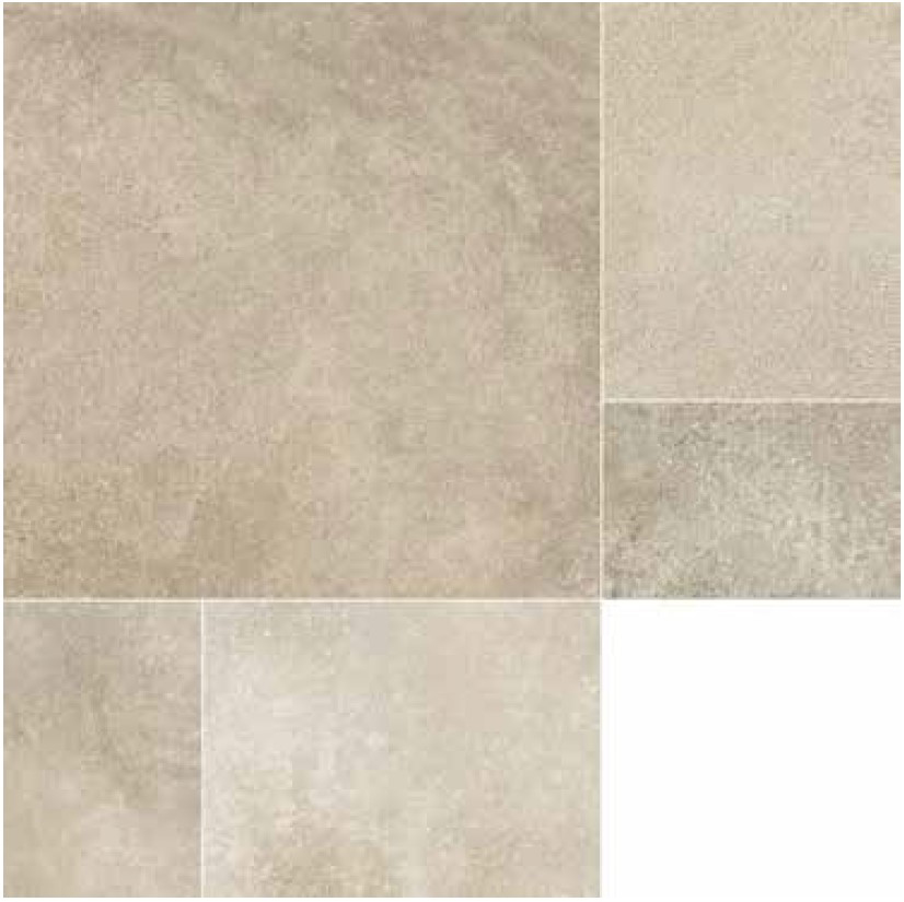 Dijon - T-135856-DIJ-COQ-FT-MIX-SP