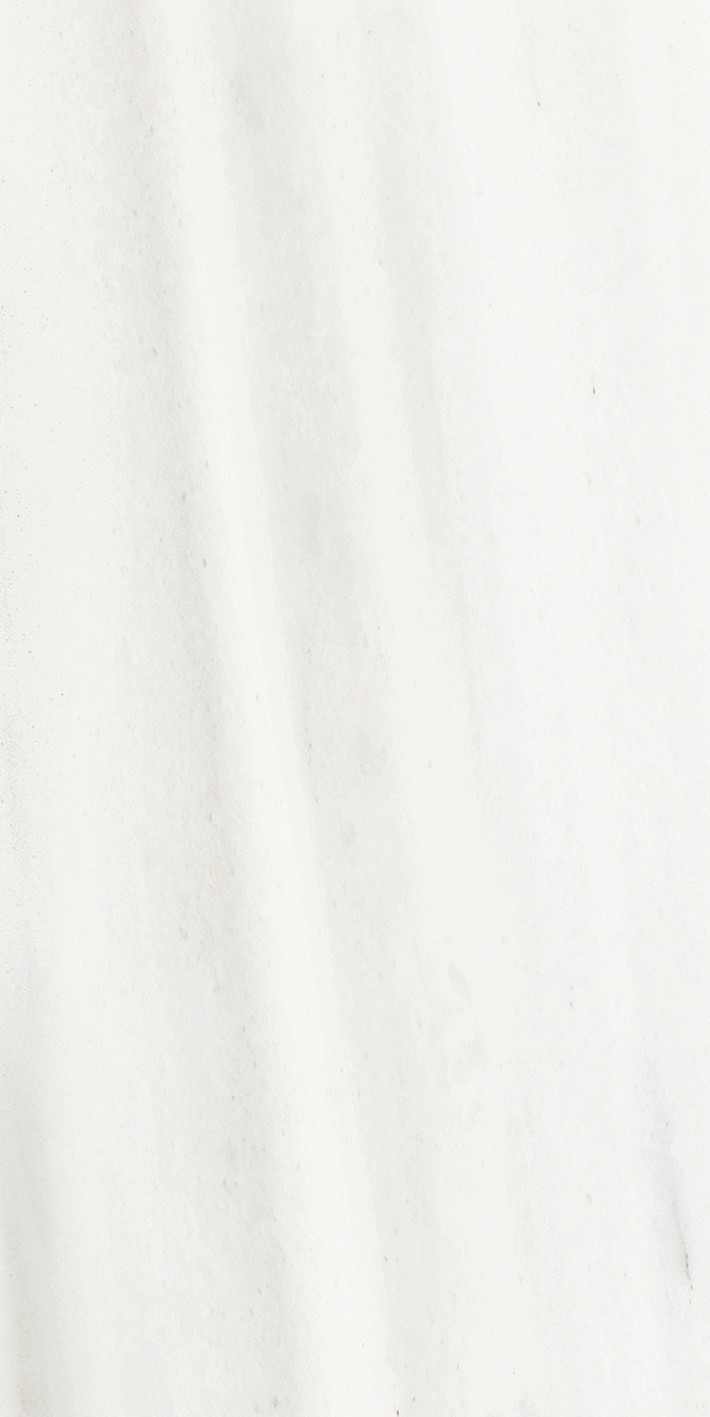 Origines De Rex - T-3806-ODR-ODR-FT-12X24-GLS10MM