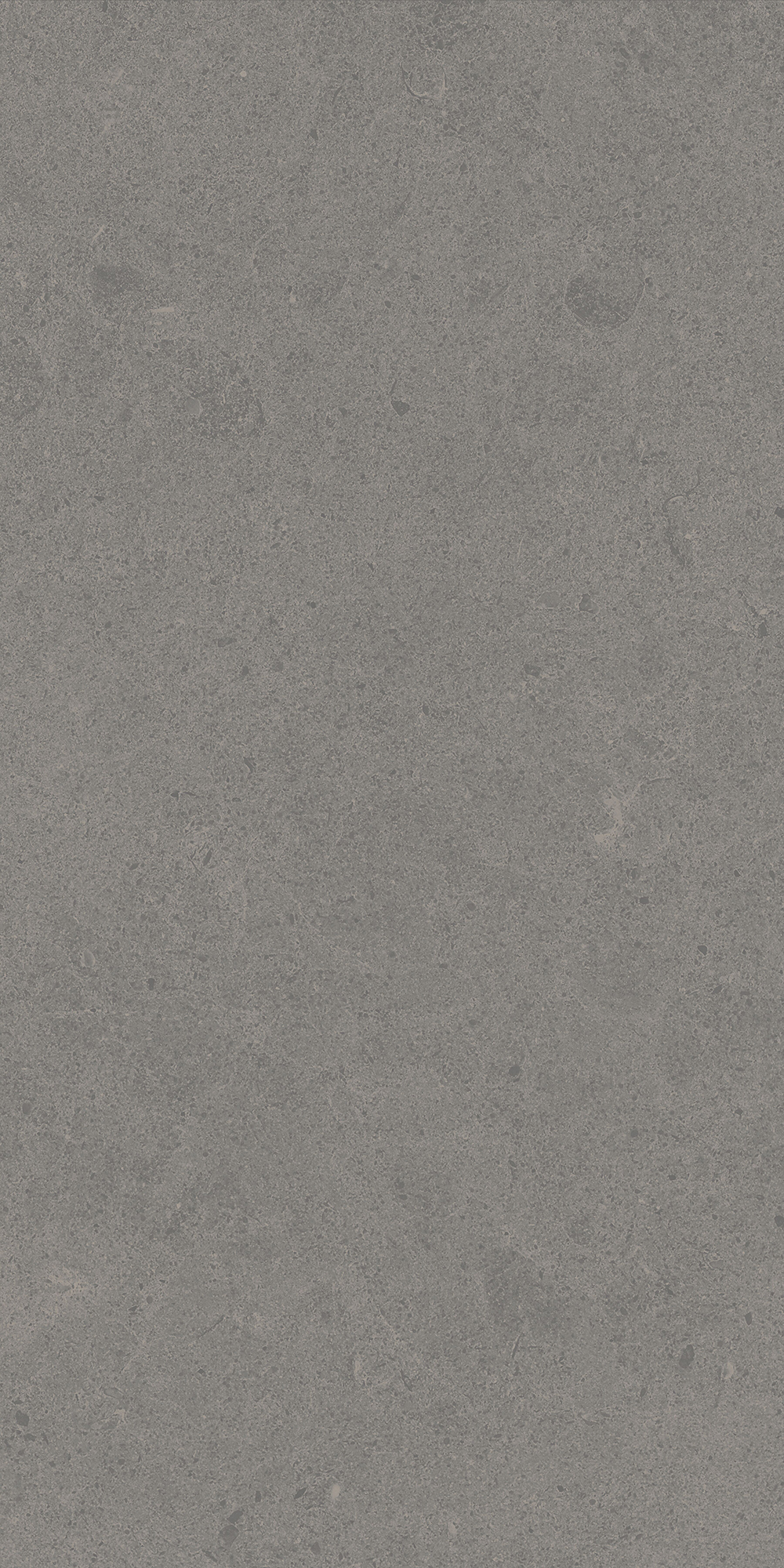 Argent 2.0 - T-2922-ARG2-ARG17-FT-12X24-UPS