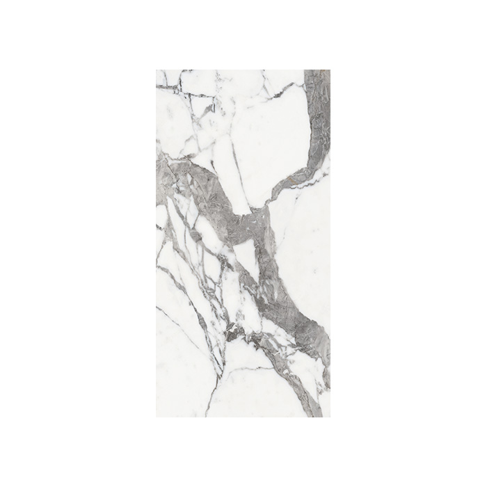 Origines De Rex - T-3806-ODR-ORR-FT-24X48-M10MM