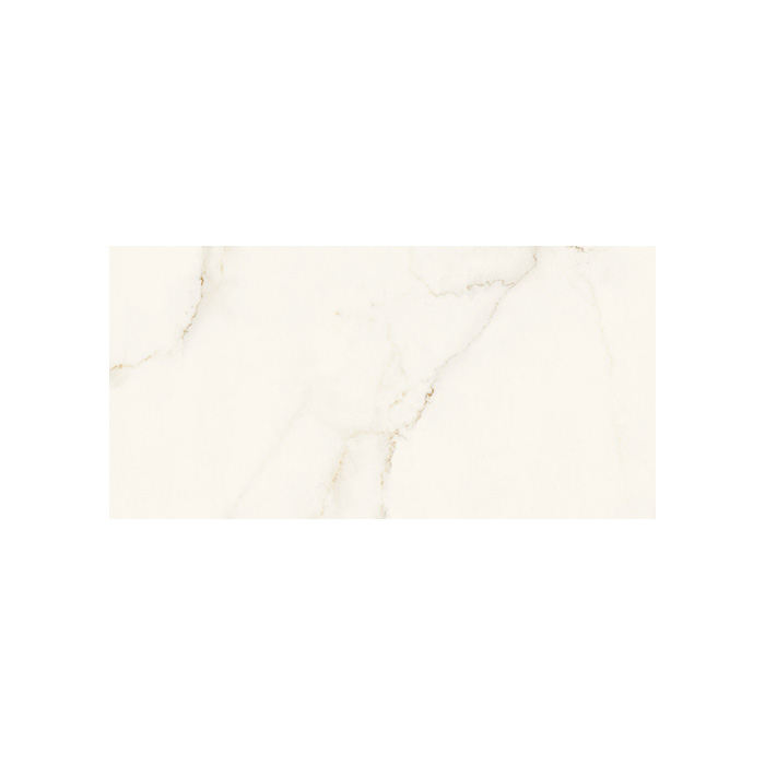 Marvel X - T-2067-MARVX-CAAP-FT-24X48-POL