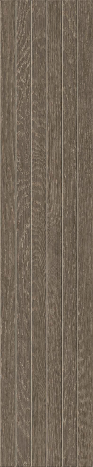 Nature - T-133457-NAT-CNT-WT-MOSSTV