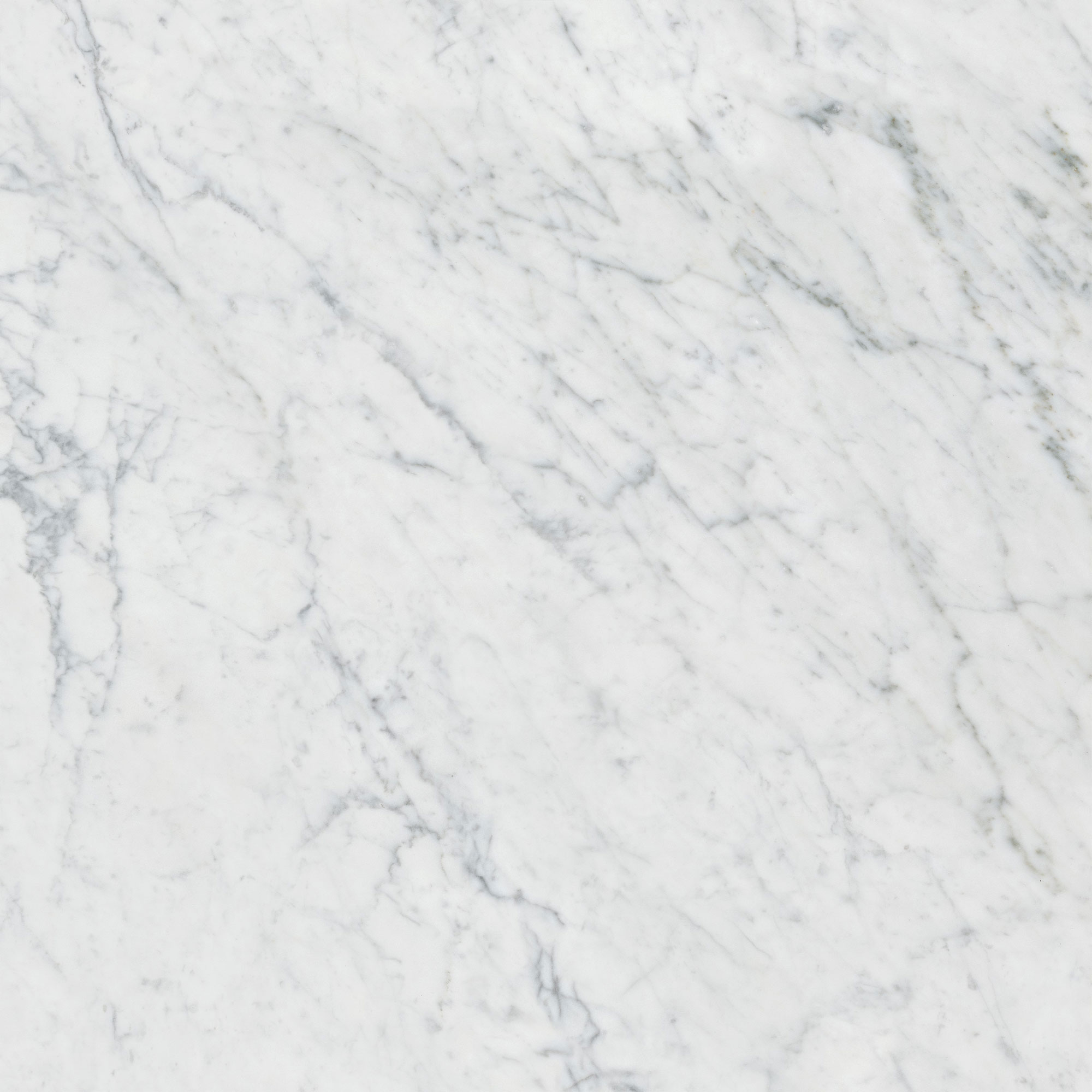 Charme Evo - T-196252-CEV-MEW-FT-24X24-MR