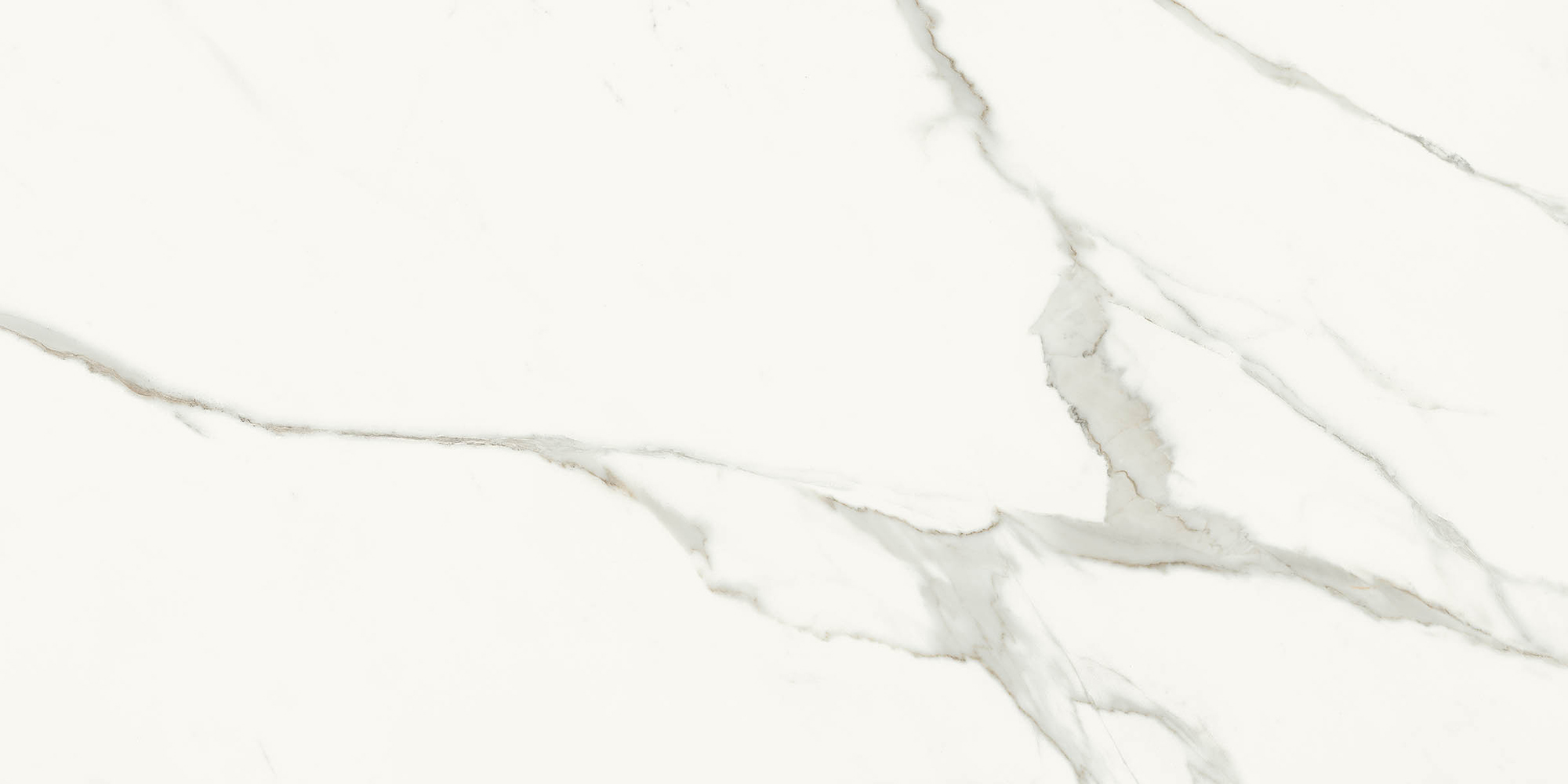 Aesthetica - T-2696-AEST-SXW-WT-24X48-POL6.5MM