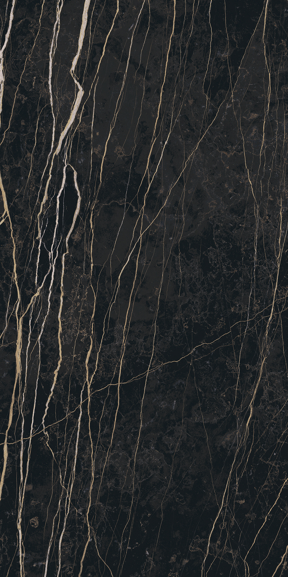 Prexious De Rex - T-3806-PREX-THNT-FT-24X48-GLS10MM