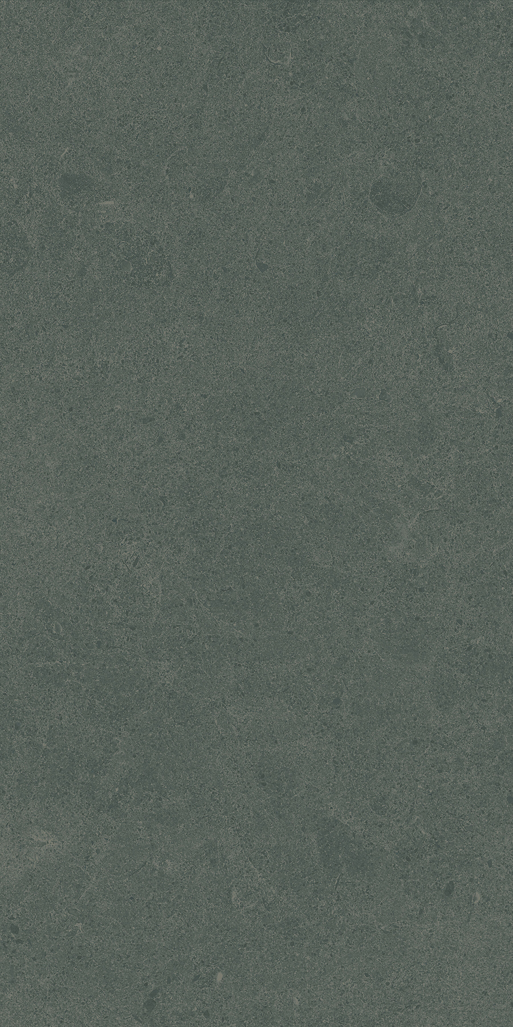 Argent 2.0 - T-2922-ARG2-ARG38-FT-12X24-UPS