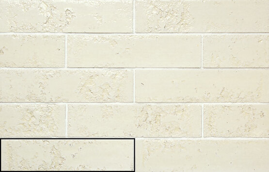 Pukka - T-284164-PUK-RICR-WT-2HX10-GLS